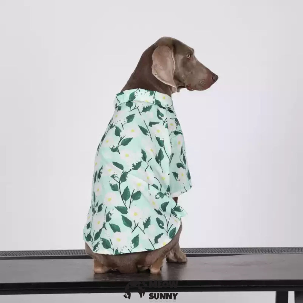 Pet Clothing Breathable and Cool Beach Style Big Dog Boy and Girl Shirt