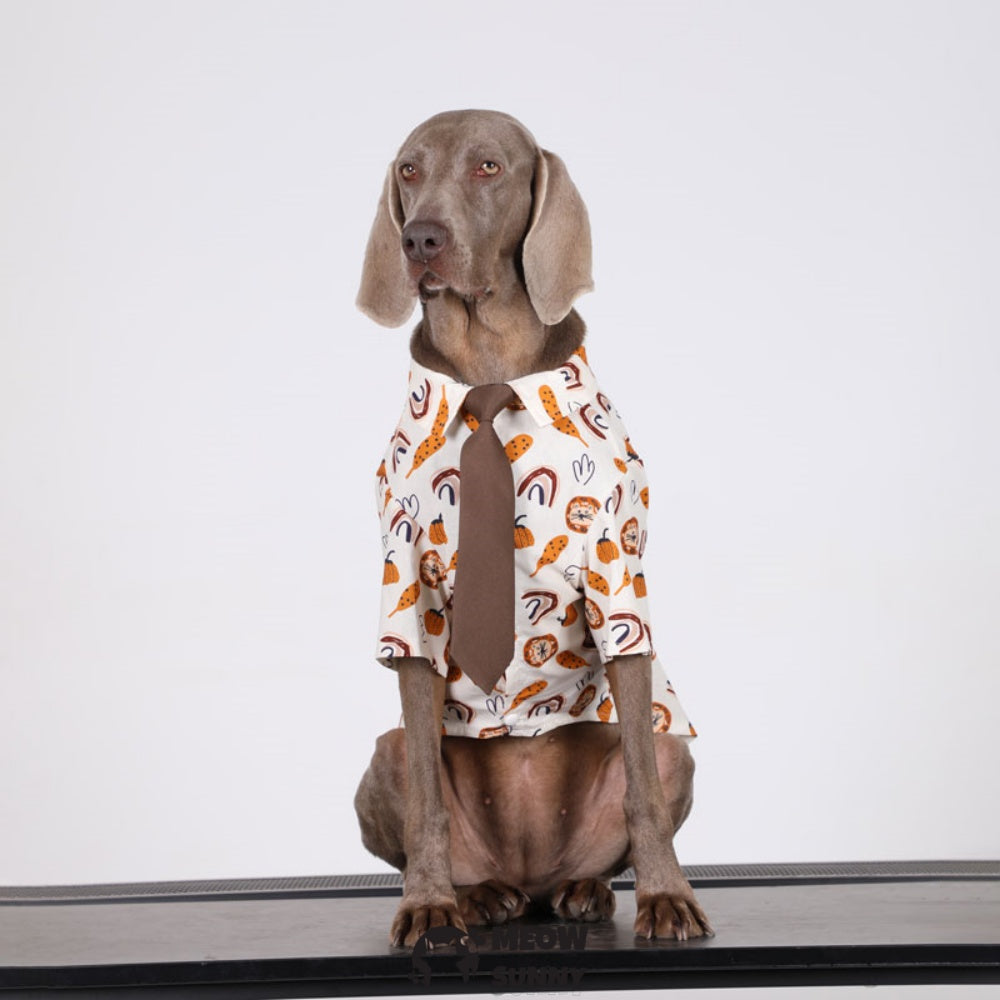 Pet Clothing Breathable and Cool Beach Style Big Dog Boy and Girl Shirt