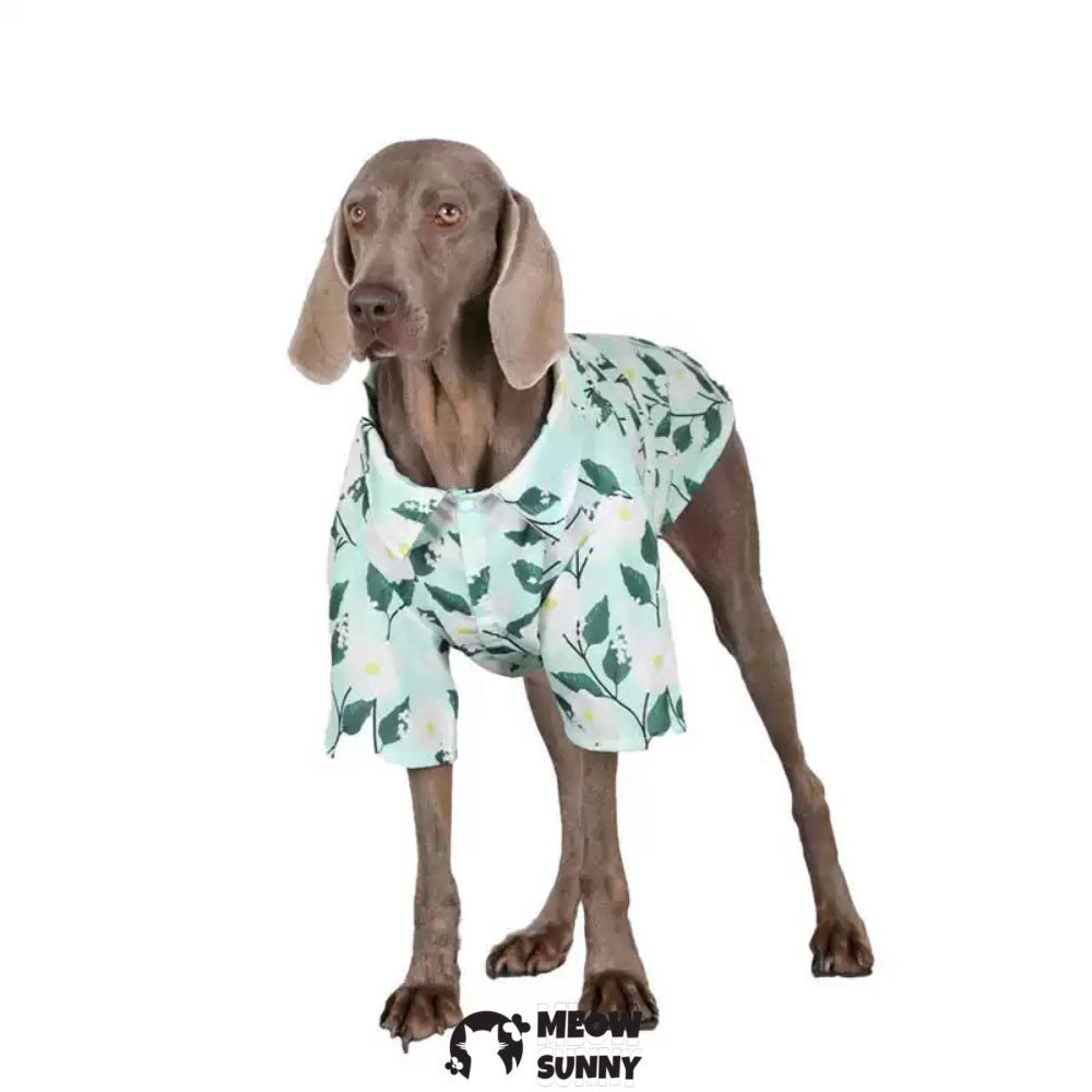 Pet Clothing Breathable and Cool Beach Style Big Dog Boy and Girl Shirt