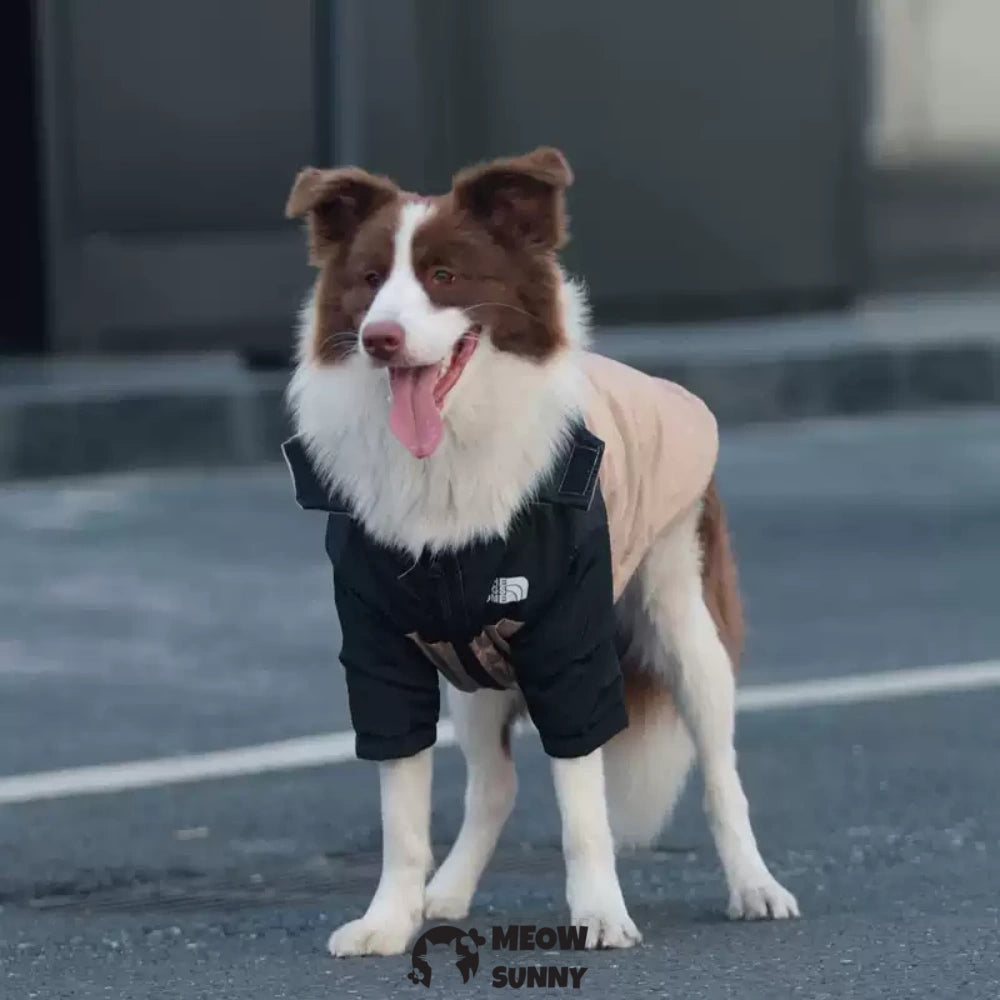 Pet Outdoor Sports Jacket Reversible Dog Winter Coat 2-110lbs