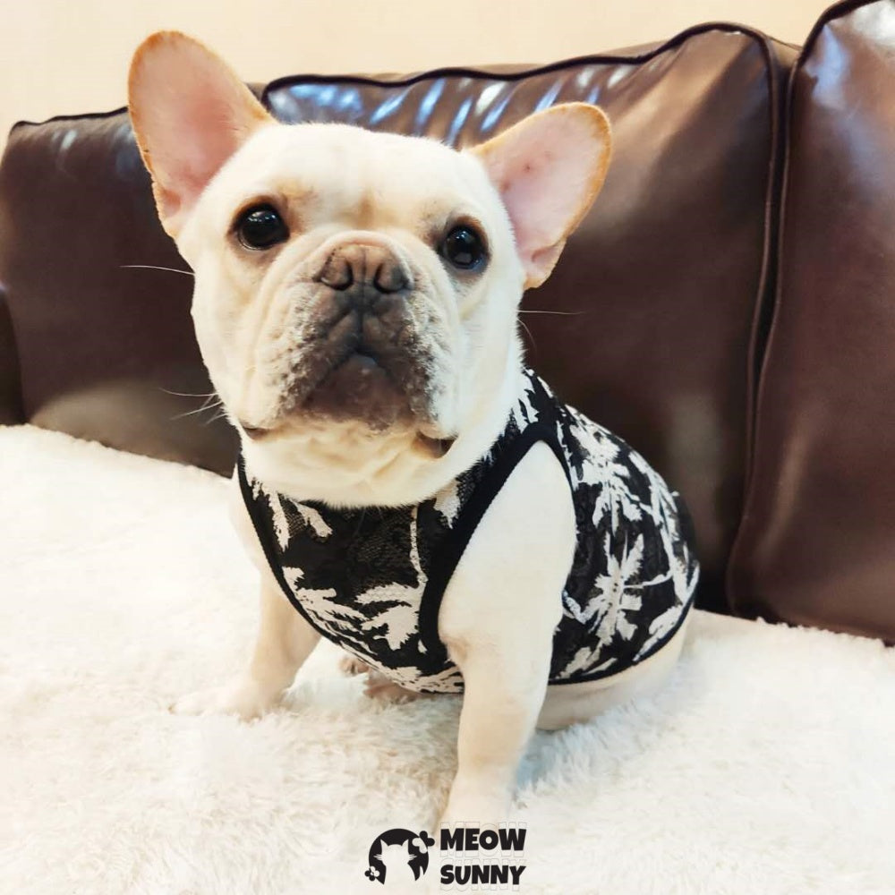 Pet T-Shirt, Dog Summer Apparel Puppy Pet Clothes Dogs