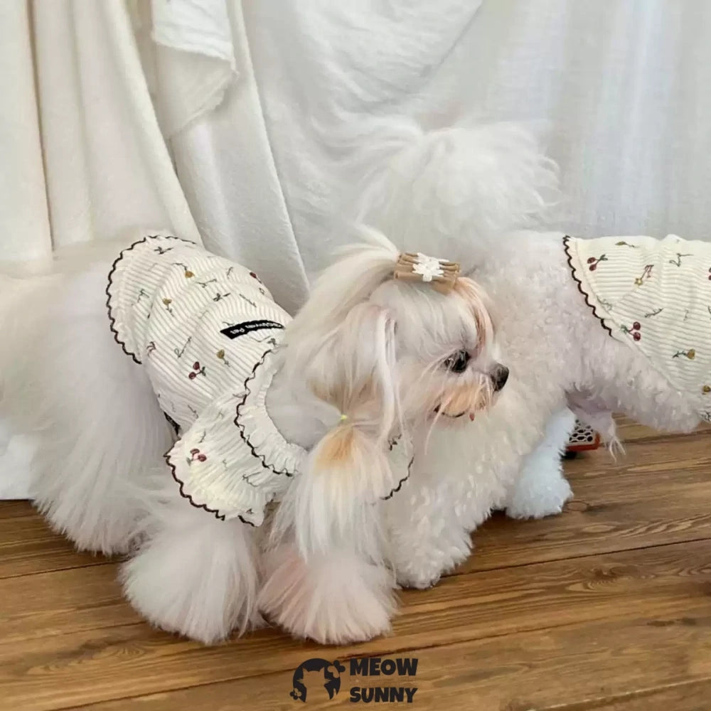 Pet dog princess style dress bottoming shirt warm clothes autumn and winter