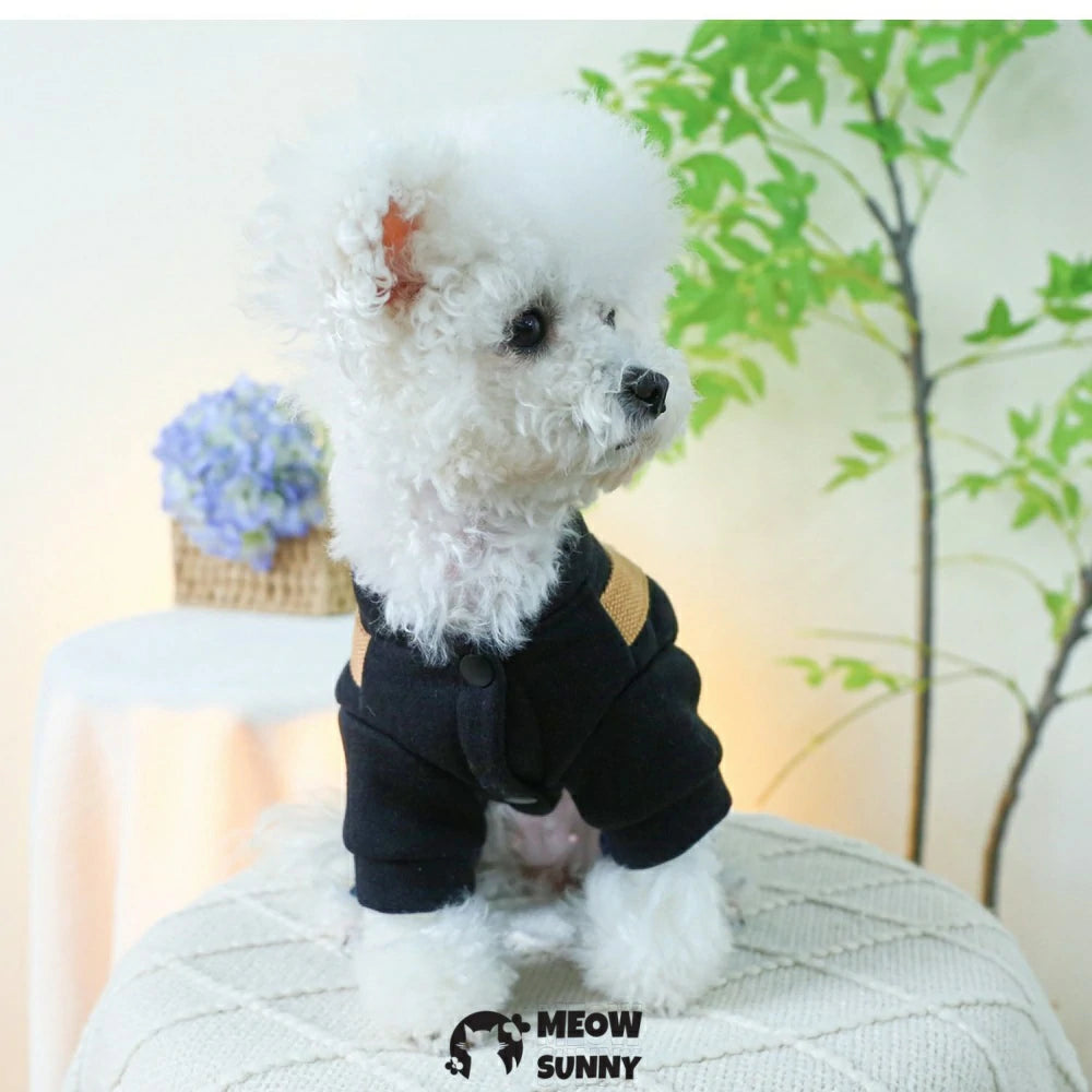 Punk overalls pet dog clothes casual handsome denim four-legged pants