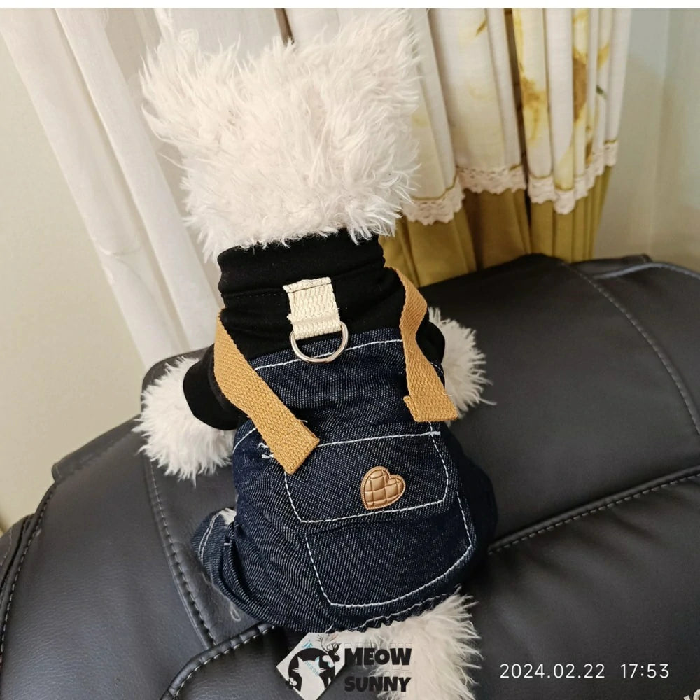 Punk overalls pet dog clothes casual handsome denim four-legged pants