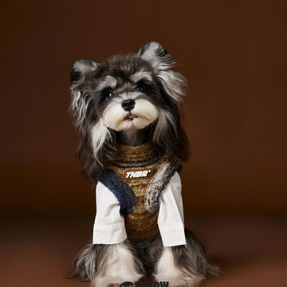 Puppy Clothes Sleeveless Sweater Vest