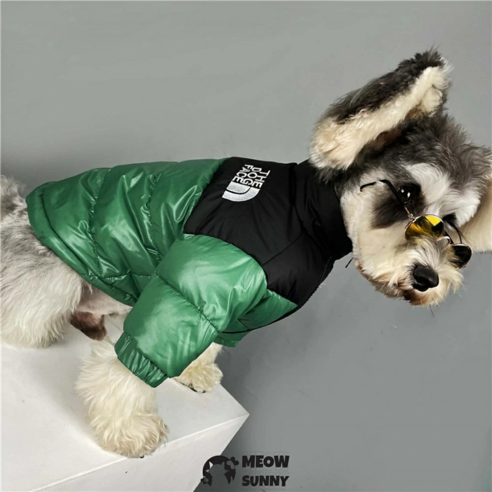 Puppy autumn and winter thick warm all-match down jacket