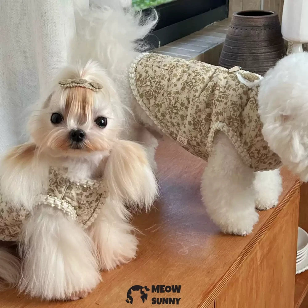 Puppy autumn and winter warm clothes Bichon Frise plus velvet vest traction ring