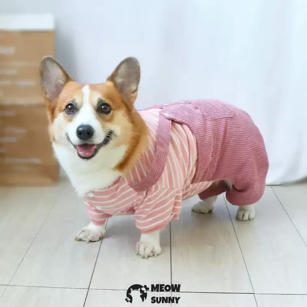 Puppy clothes Corgi winter warm overalls set