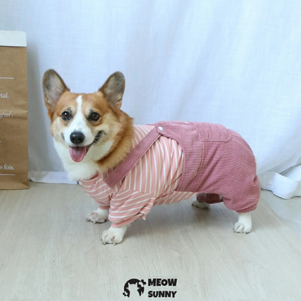 Puppy clothes Corgi winter warm overalls set
