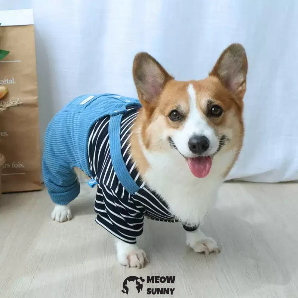 Puppy clothes Corgi winter warm overalls set