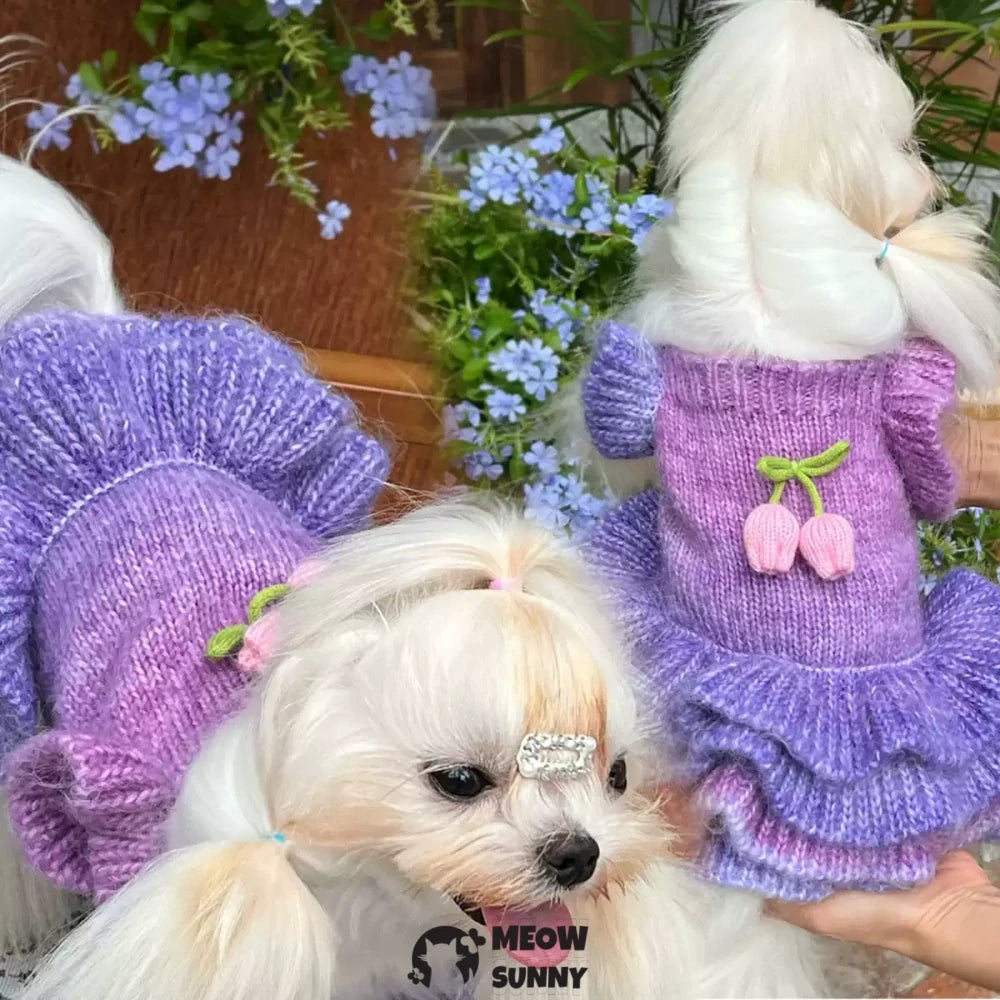 Puppy clothes autumn and winter gradient color flower sweater