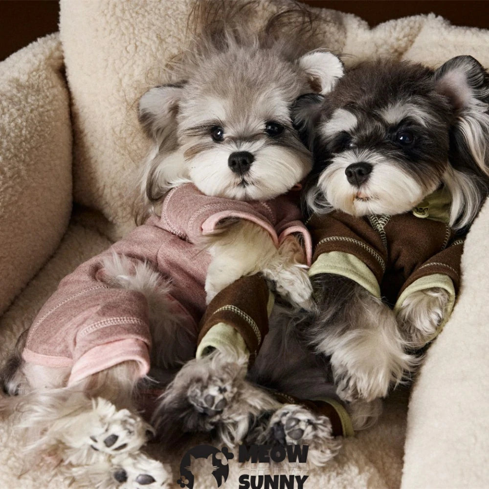 Puppy clothes four-legged clothes with a base shirt underneath