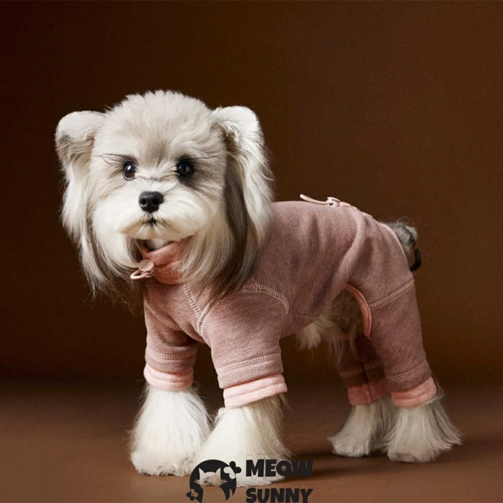 Puppy clothes four-legged clothes with a base shirt underneath