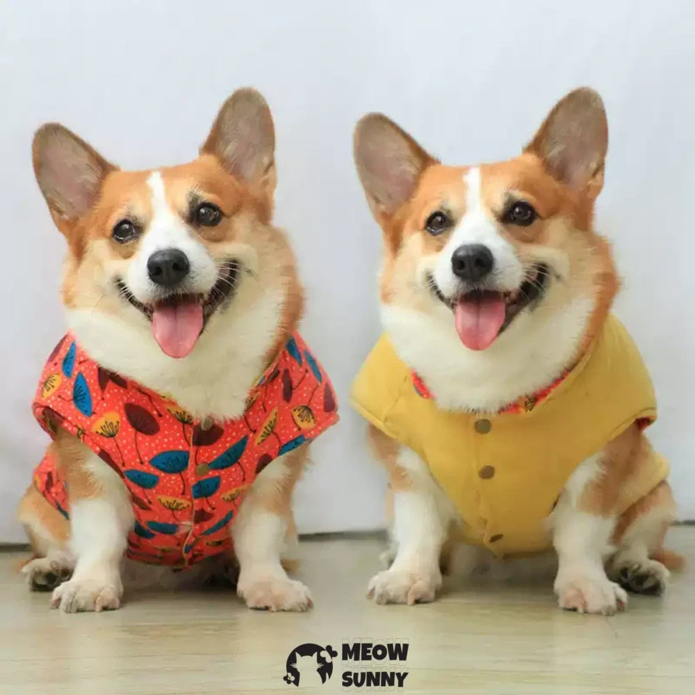 Puppy clothes winter vest trendy corgi winter clothes reversible