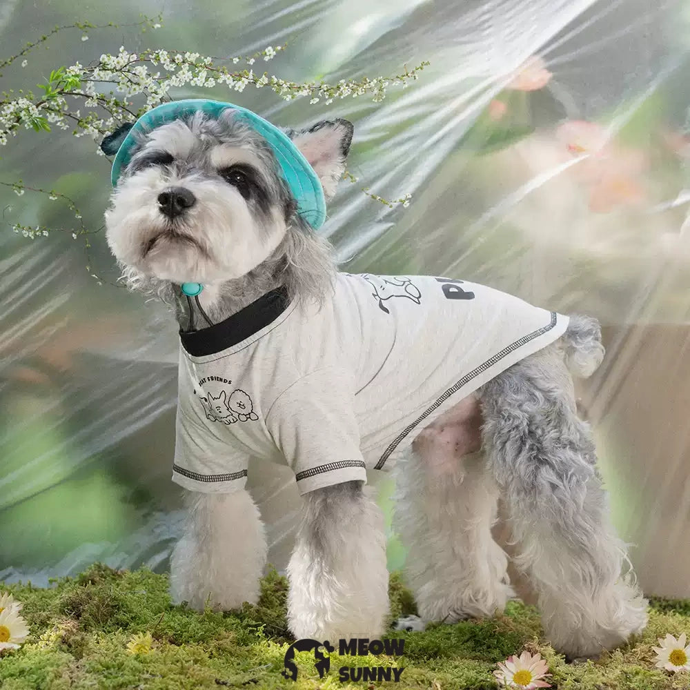 Puppy friend summer thin dog comfortable fashion T-shirt