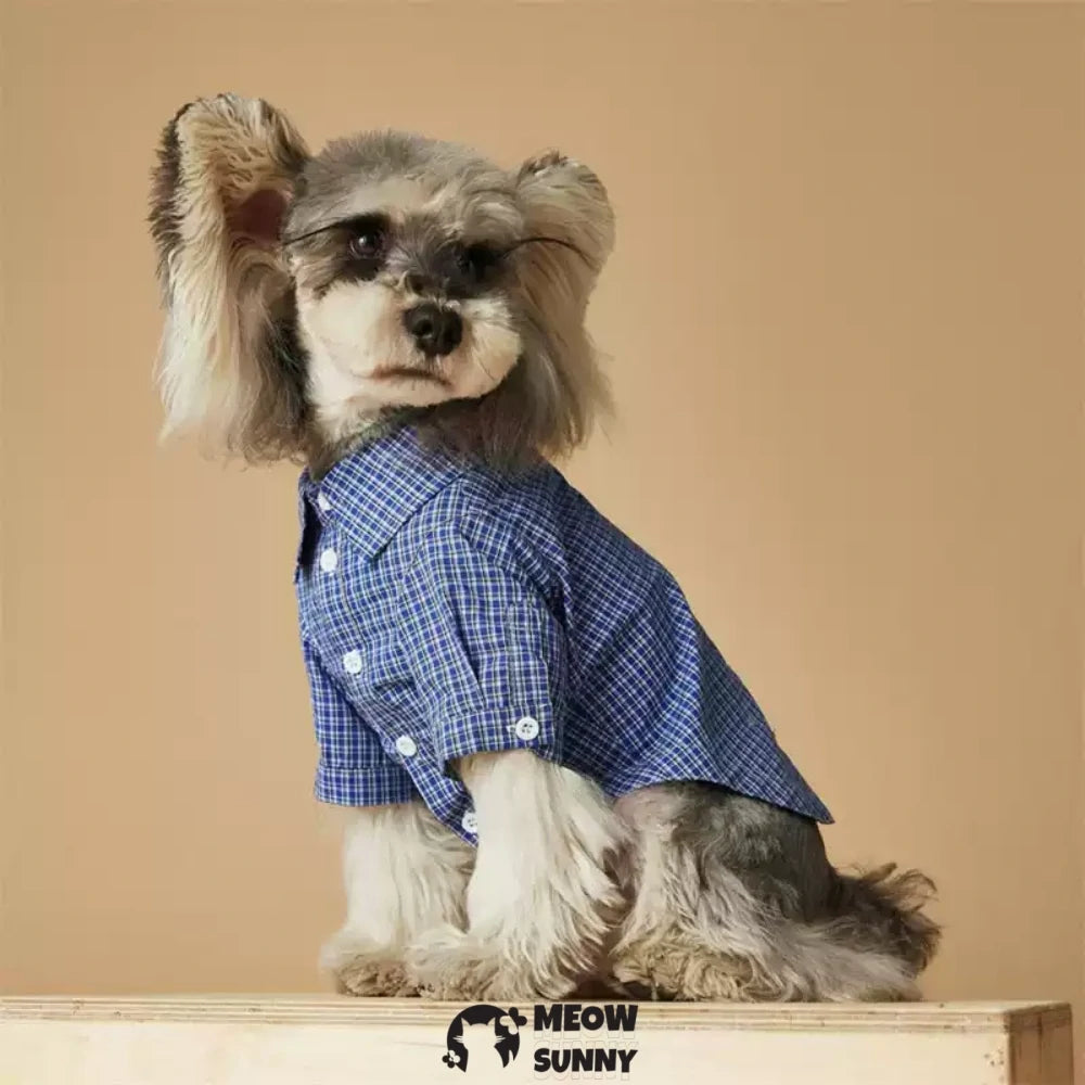 Puppy shirt clothes thin plaid shirt