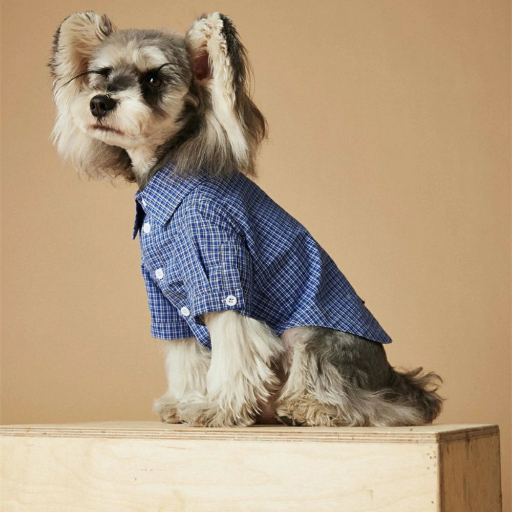 Puppy shirt clothes thin plaid shirt