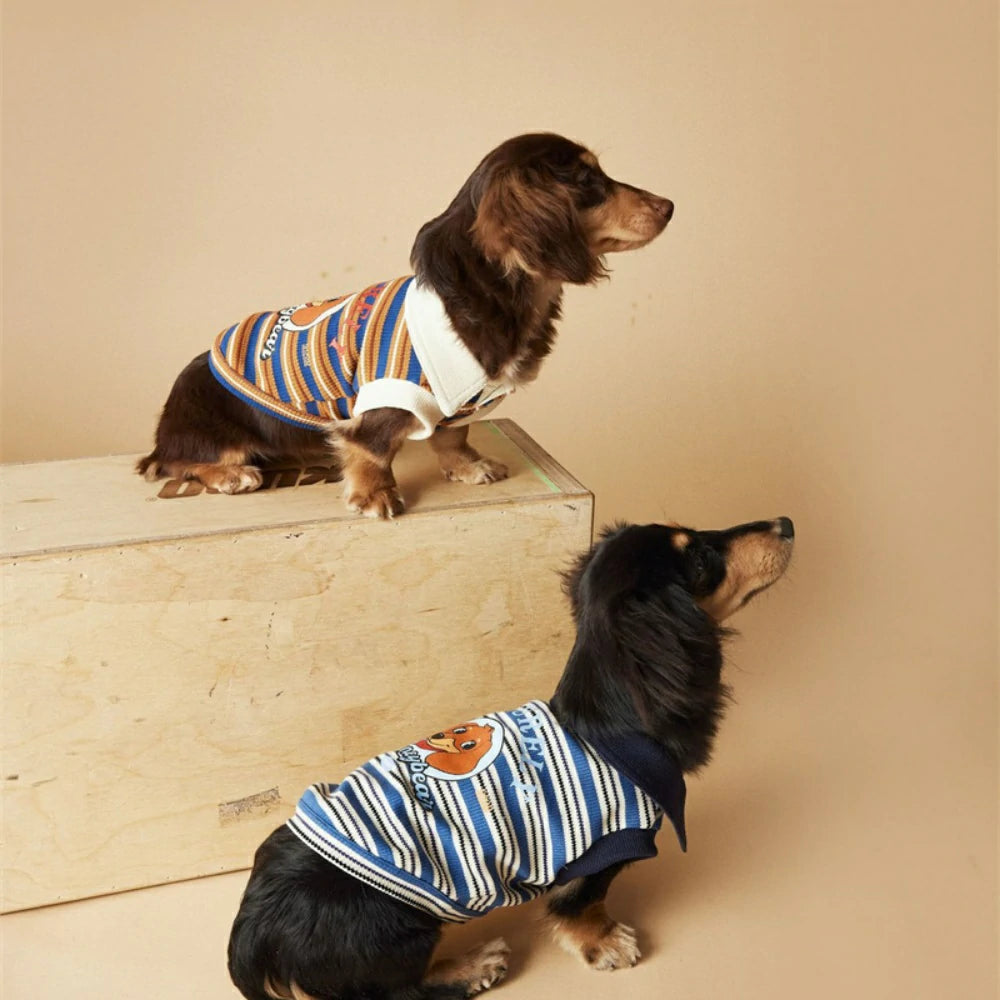Puppy vest thin striped polo shirt