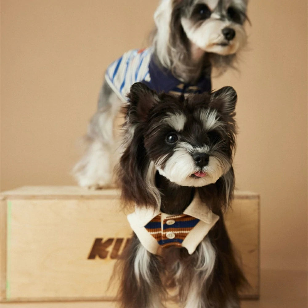 Puppy vest thin striped polo shirt