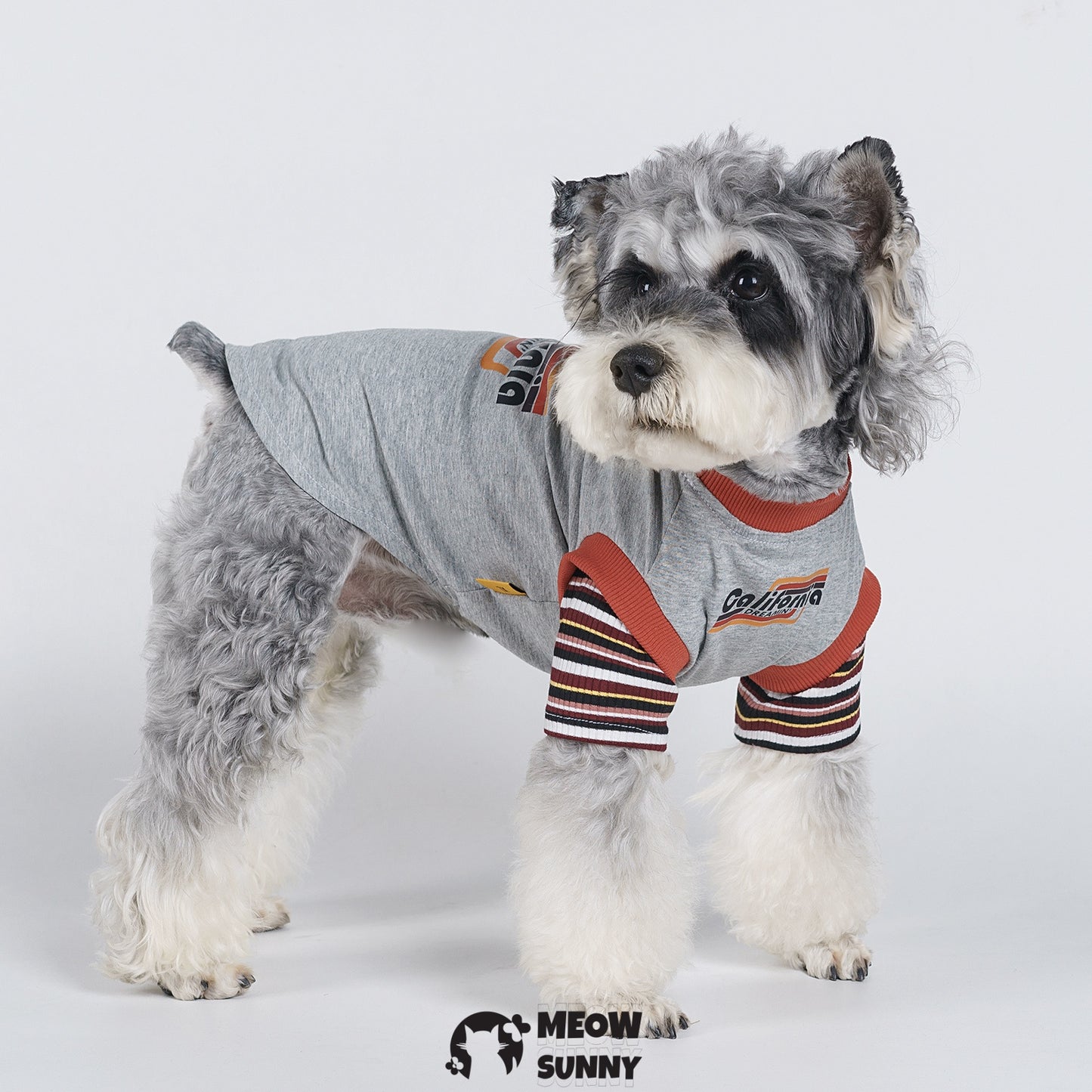 Retro Popular Summer Thin Dog Comfortable Fashion T-shirt