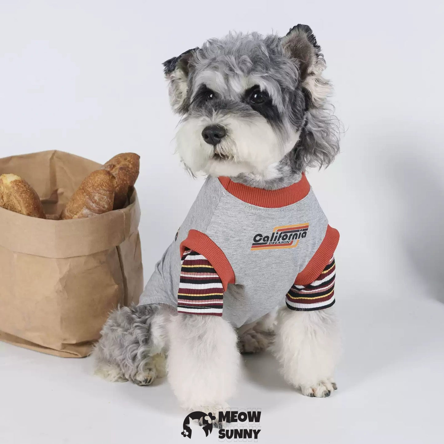 Retro Popular Summer Thin Dog Comfortable Fashion T-shirt