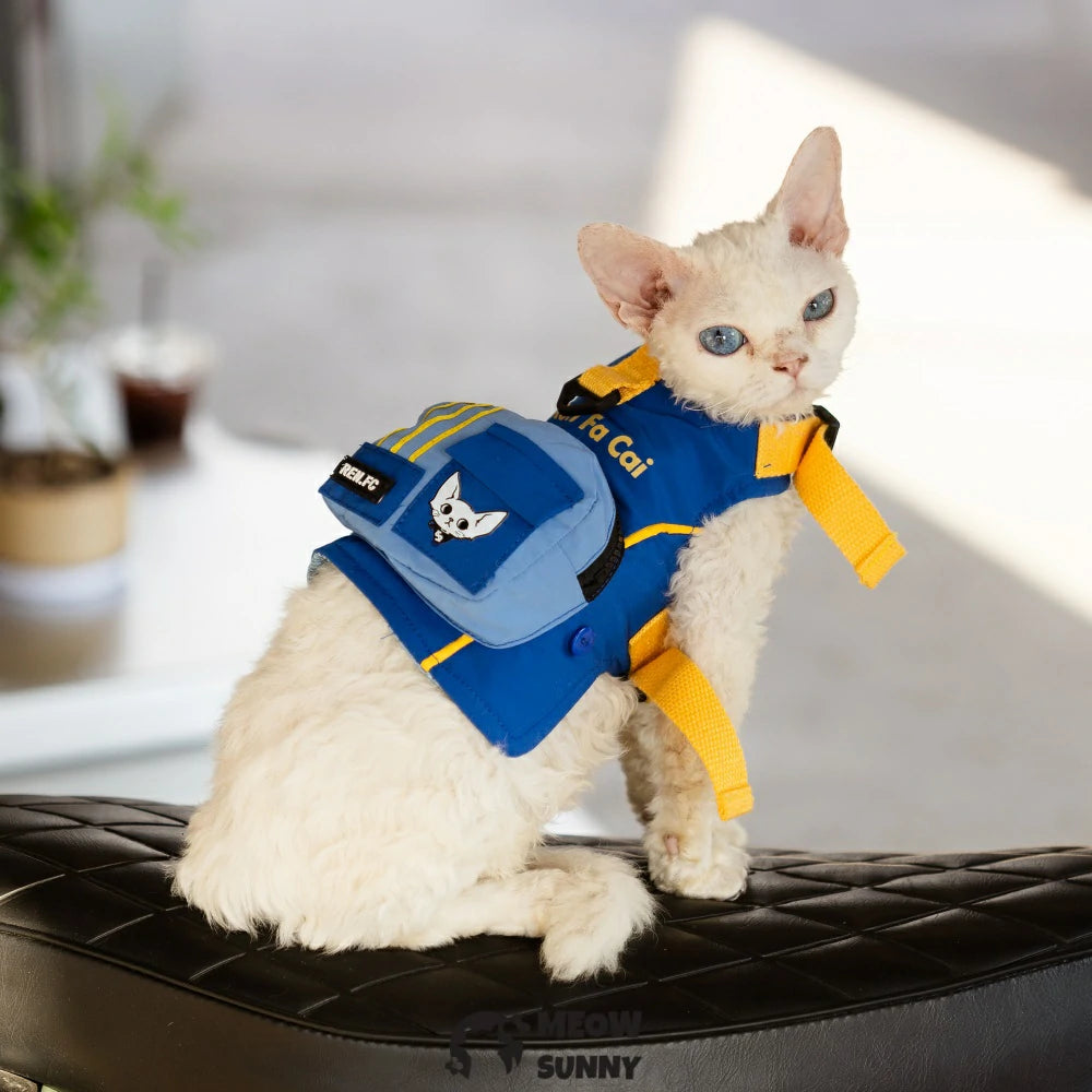 Royal Blue Cat Sun Protection Chest Strap Set with Hood