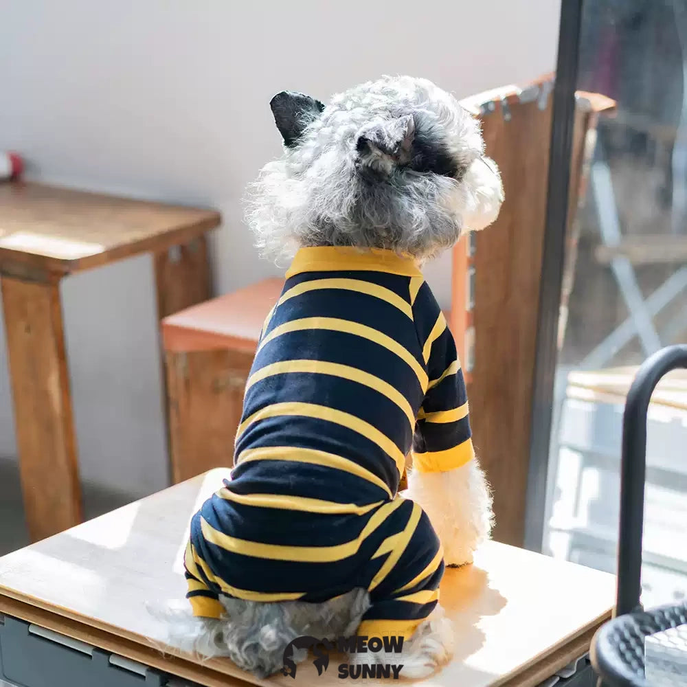 Royal Blue and Yellow Striped Dog Shirt, Summer