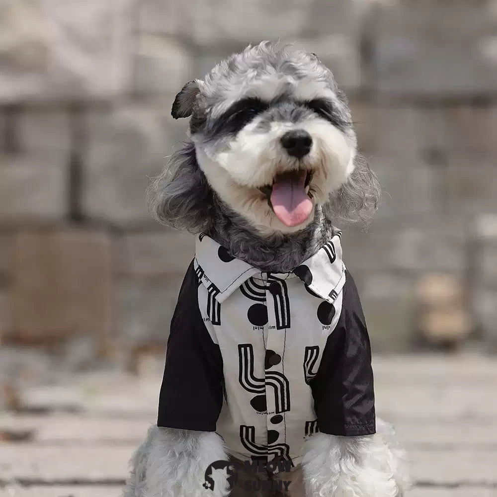 Simple popular summer thin dog comfortable and fashionable T-shirt