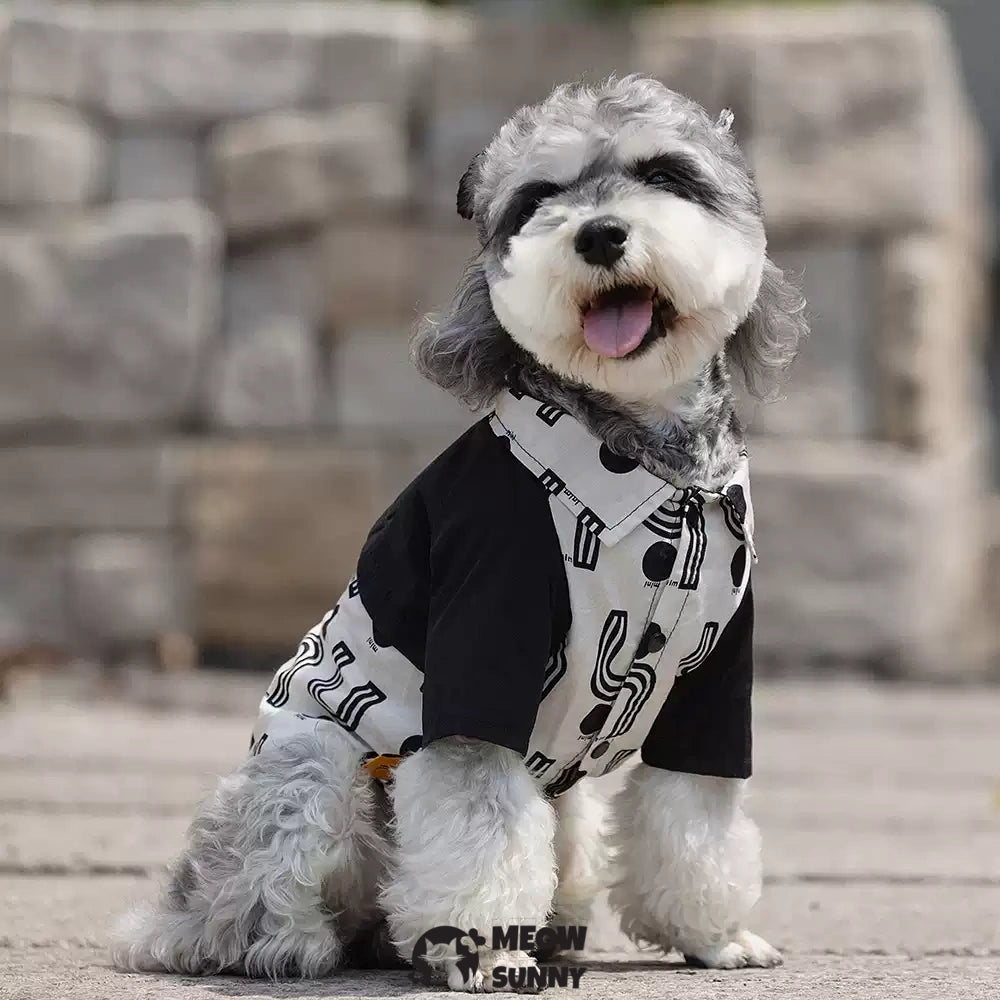 Simple popular summer thin dog comfortable and fashionable T-shirt