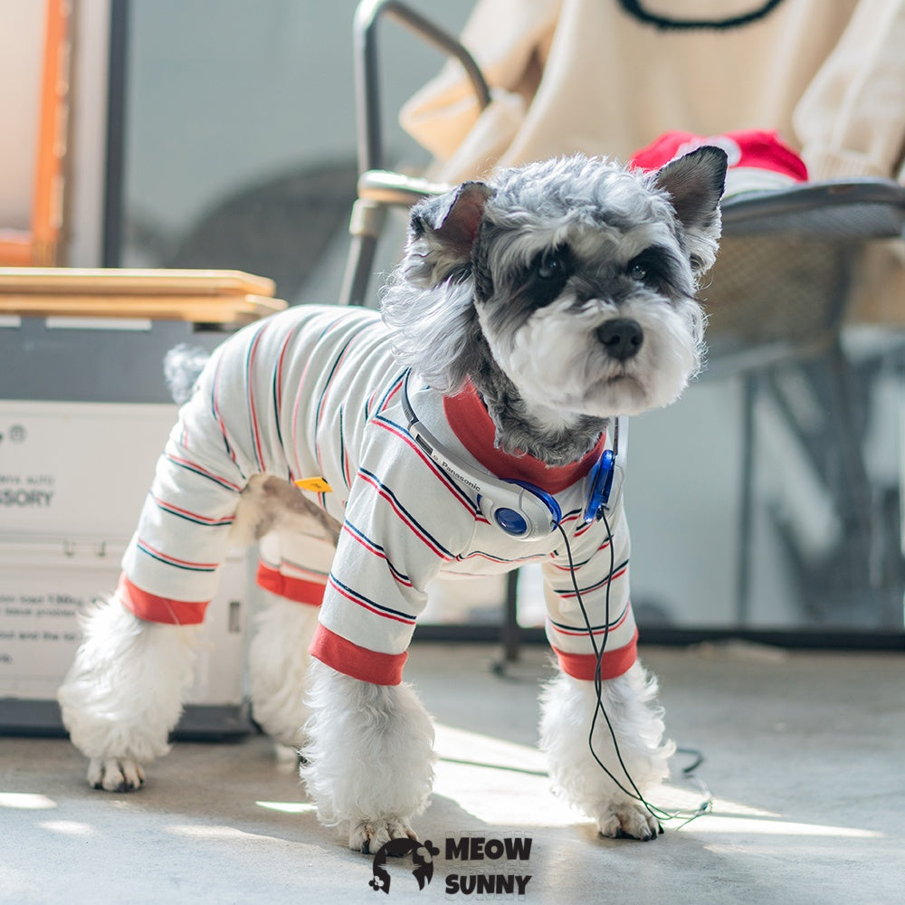 Simple popular summer thin comfortable and fashionable dog jumpsuit