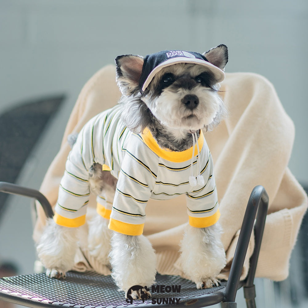 Simple popular summer thin comfortable and fashionable dog jumpsuit