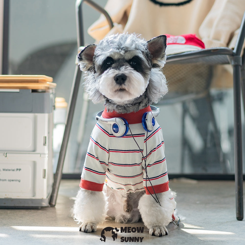 Simple popular summer thin comfortable and fashionable dog jumpsuit