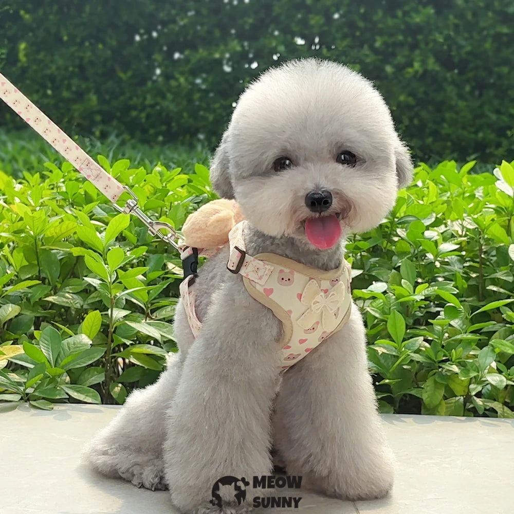 Small Dog Harness and Leash Set Puppy Vest with Breathable Soft Mesh