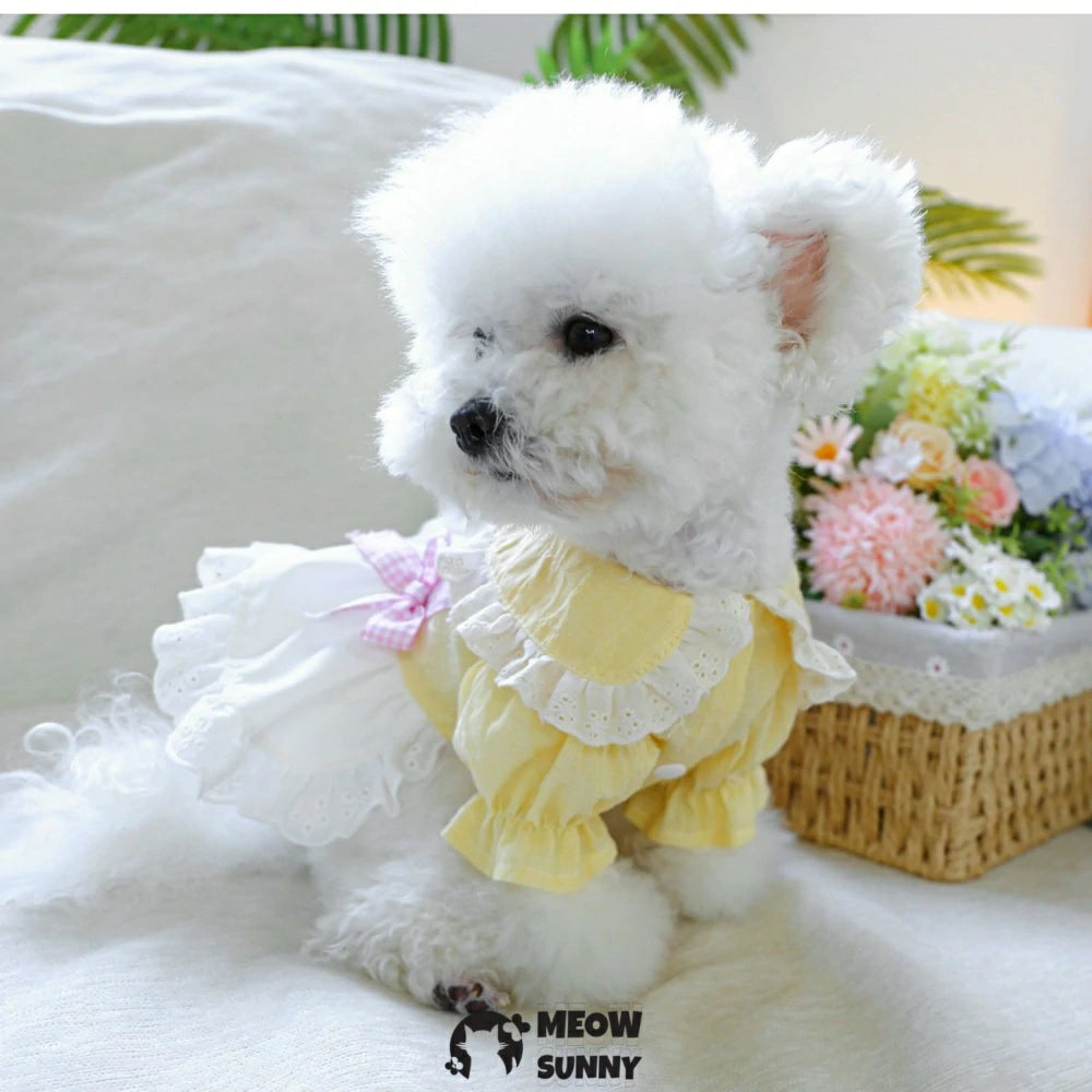 Small dog traction gauze skirt pet dog clothes princess dress