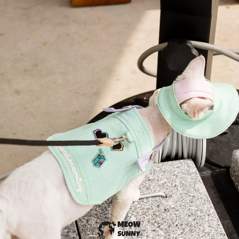 Solid Mint Green Cat Outdoor Chest Strap Set with Hood