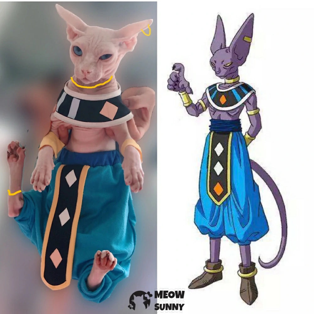 Sphinx hairless cat clothes Dragon Ball Destroyer Beerus costume