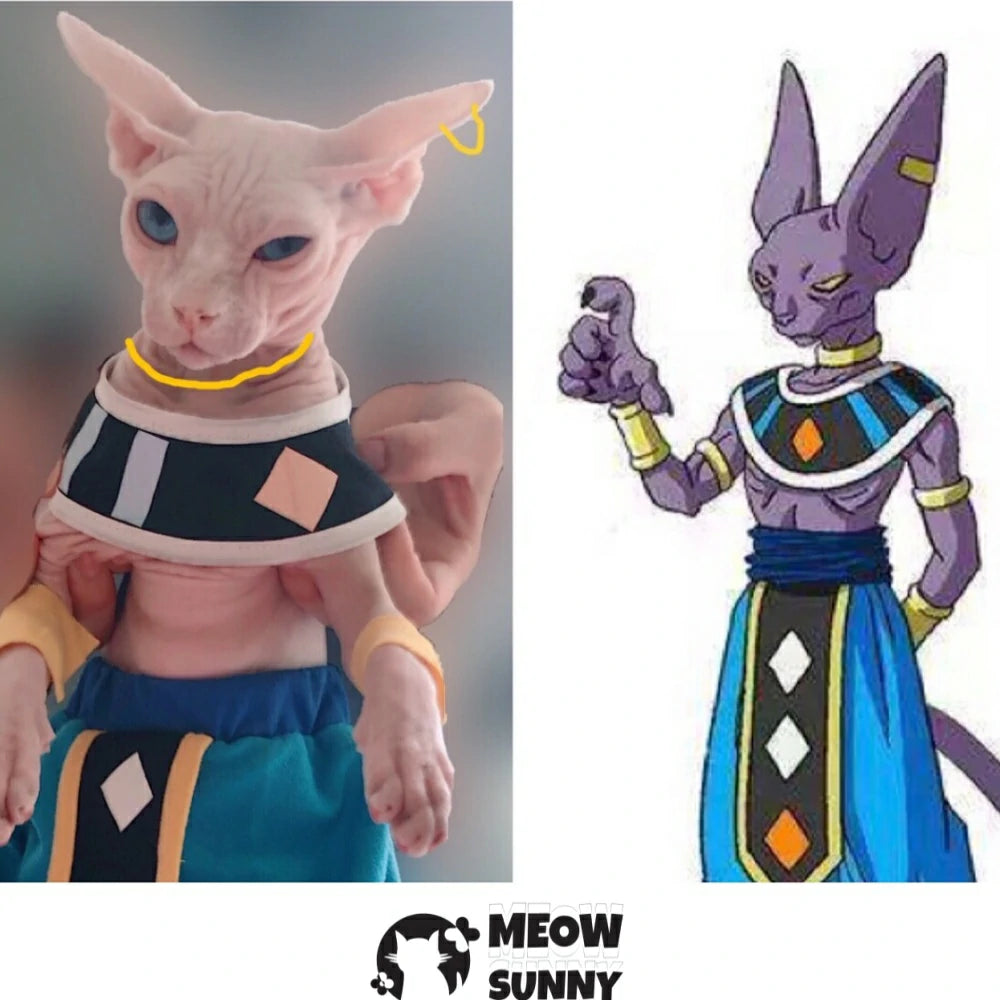 Sphinx hairless cat clothes Dragon Ball Destroyer Beerus costume