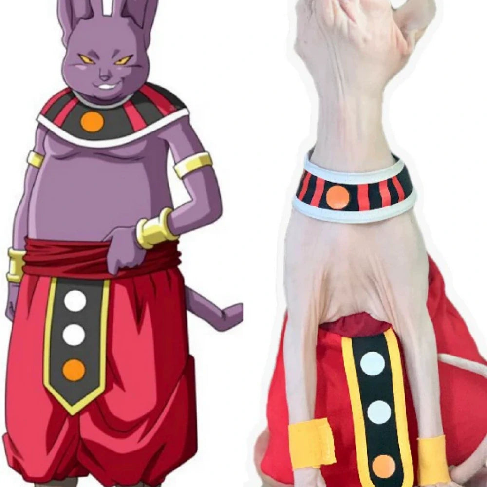Sphinx hairless cat clothes Dragon Ball Destroyer Beerus costume