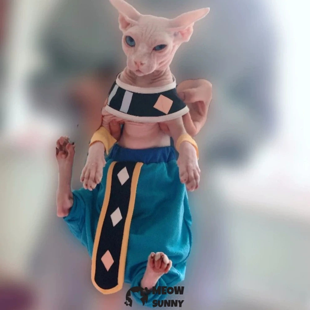 Sphinx hairless cat clothes Dragon Ball Destroyer Beerus costume