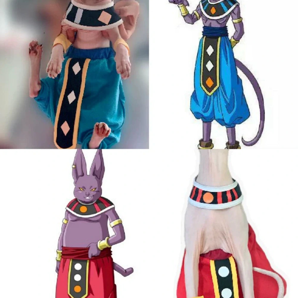 Sphinx hairless cat clothes Dragon Ball Destroyer Beerus costume