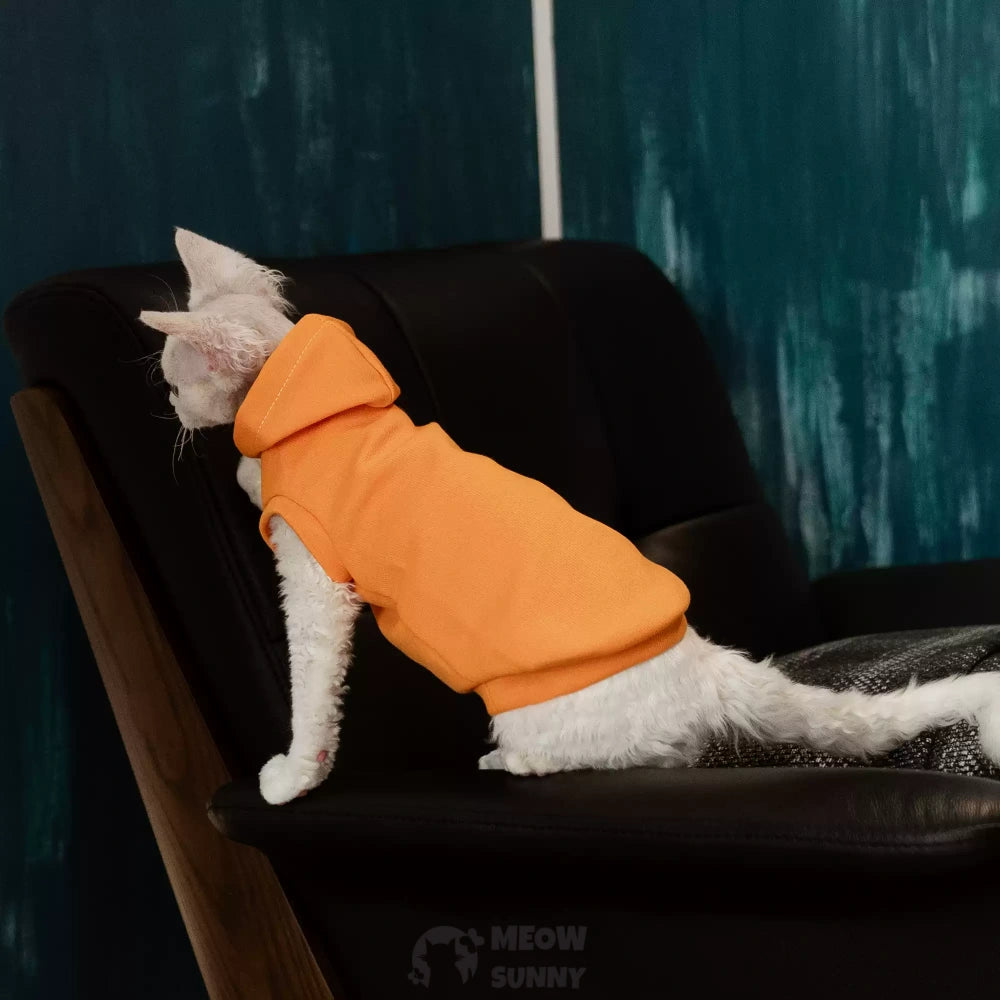 Sphynx Cat Apparel Kitty Hoodie Autumn and Winter Hairless Cat Clothes