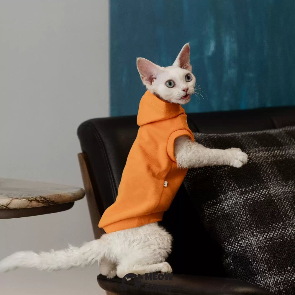 Sphynx Cat Apparel Kitty Hoodie Autumn and Winter Hairless Cat Clothes