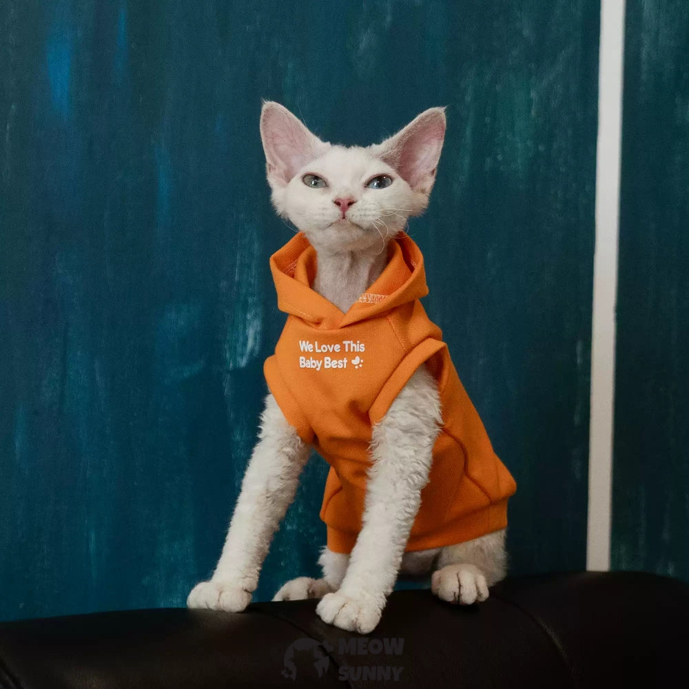 Sphynx Cat Apparel Kitty Hoodie Autumn and Winter Hairless Cat Clothes