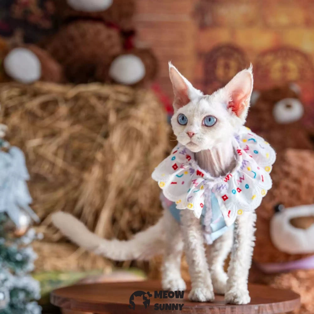 Sphynx Cat Breathable Stretch Summer Kitten Colored Big Bow Tie Shirt