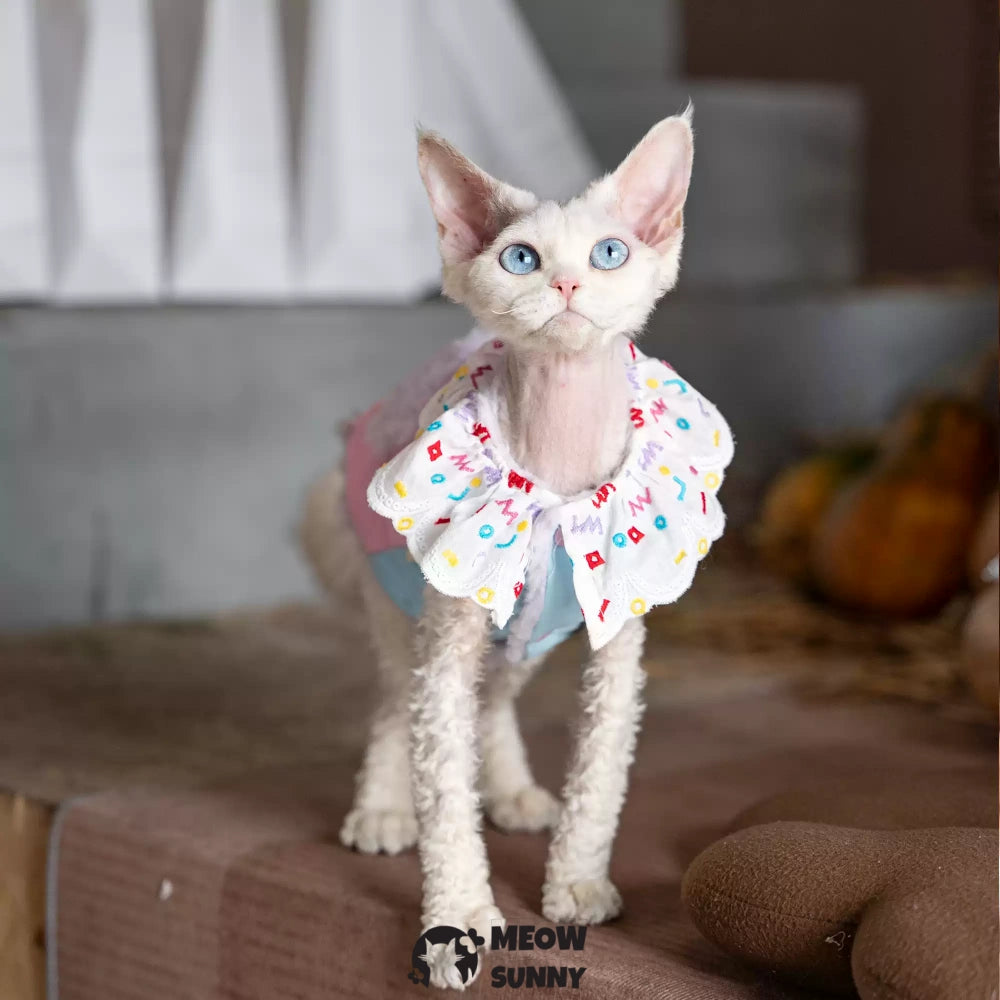 Sphynx Cat Breathable Stretch Summer Kitten Colored Big Bow Tie Shirt