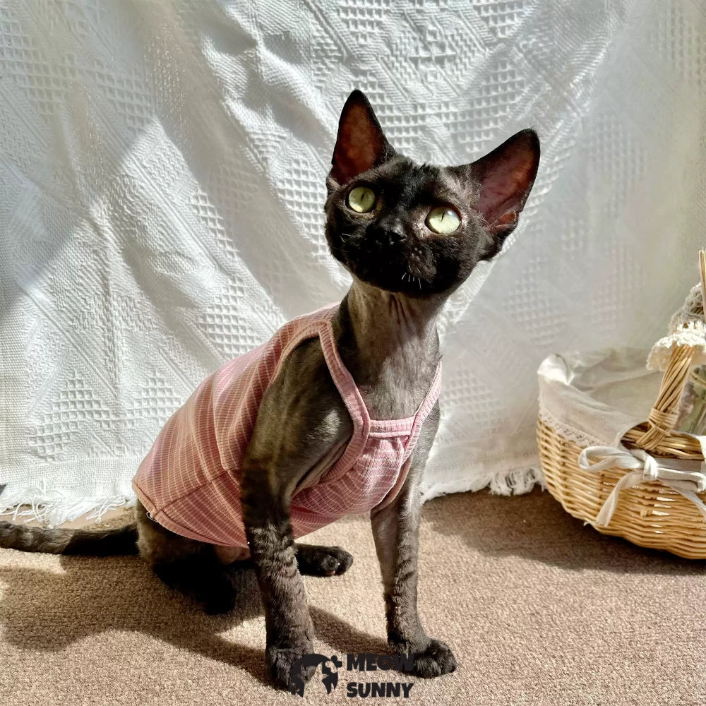 Sphynx Cat Breathable Stretchy Cat Summer shirt,Pink Striped
