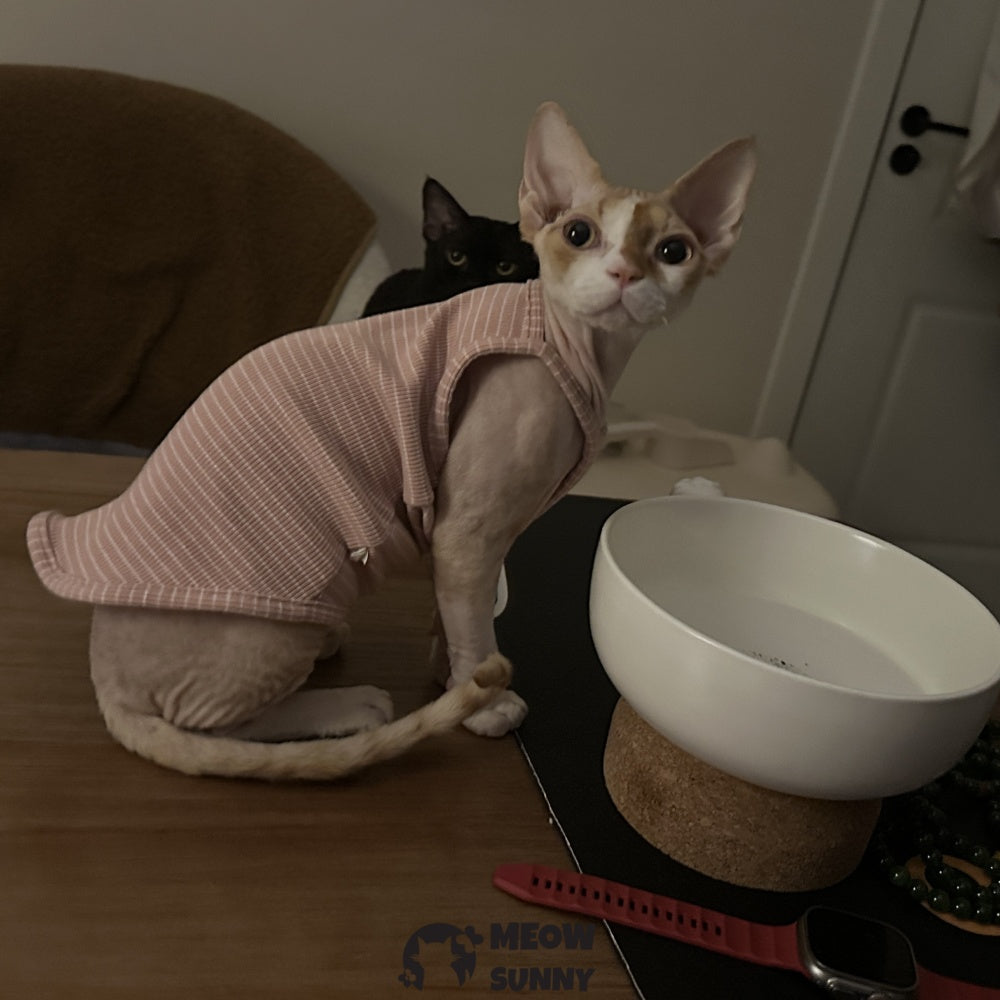 Sphynx Cat Breathable Stretchy Cat Summer shirt,Pink Striped