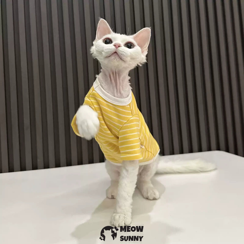 Sphynx Cat Breathable Stretchy Cat Summer vest,Yellow Striped