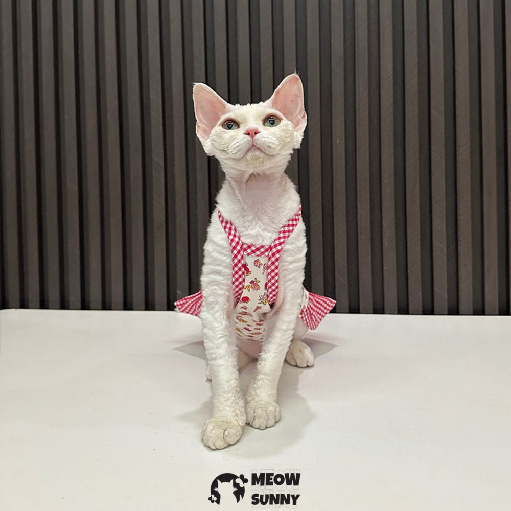 Sphynx Cat Breathable strawberry plaid Cat Summer cartoon pattern vest