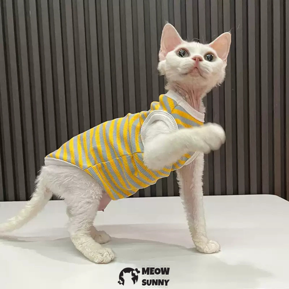 Sphynx Cat Clothes, Breathable Hairless Cat Yellow Shirts XXL 14lbs